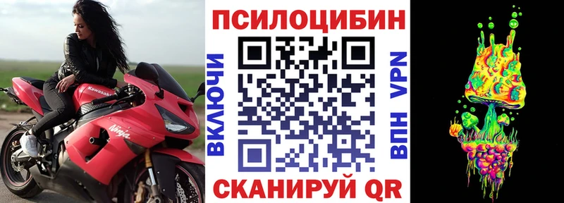 Псилоцибиновые грибы мицелий  гидра рабочий сайт  Северо-Курильск 